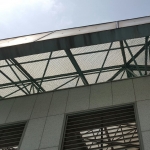 아파트 비둘기 …