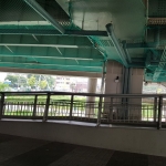 비둘기 방지망 …